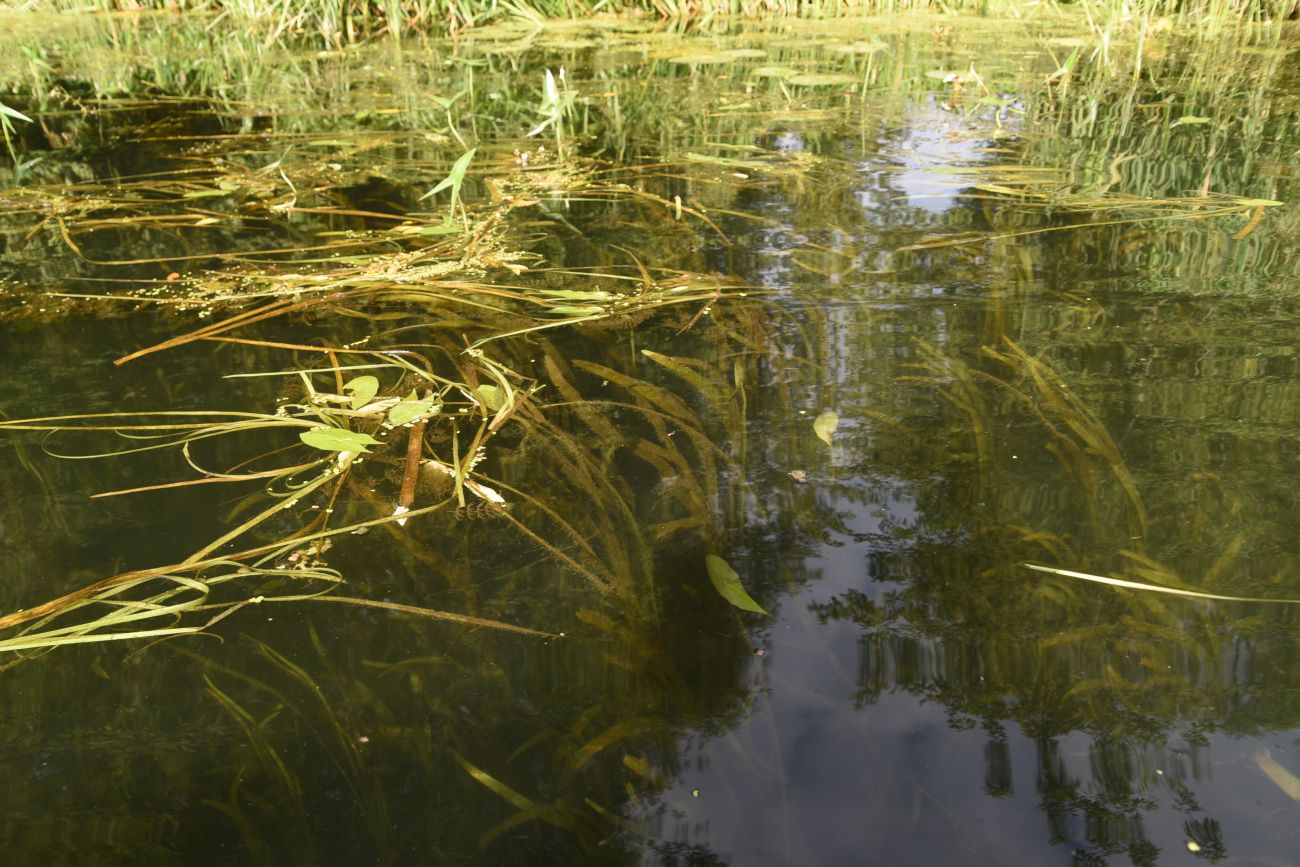 Верхняя Павловка, image of landscape/habitat.