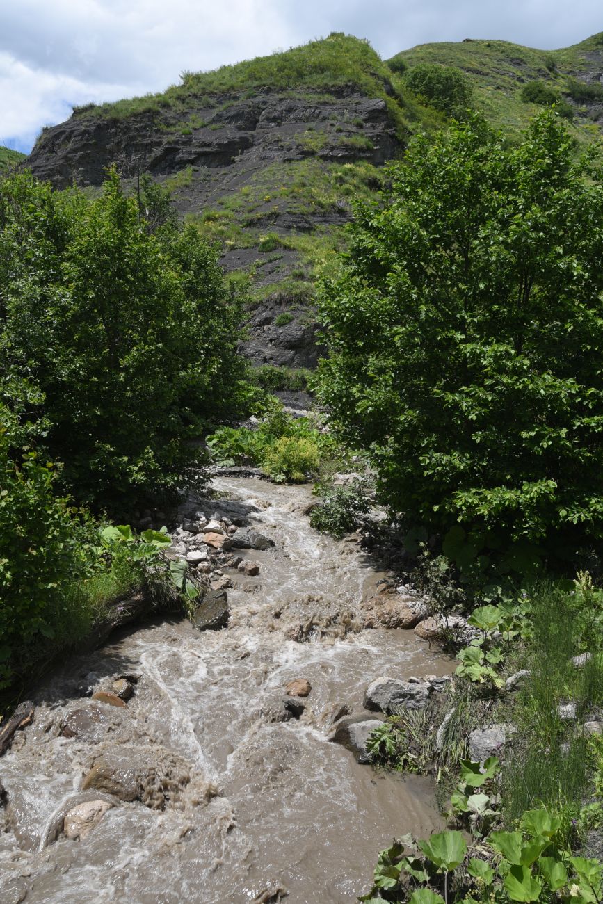 Верховья Цесиахк, image of landscape/habitat.