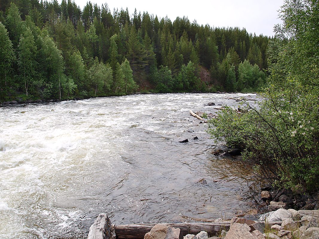 Колвица, image of landscape/habitat.