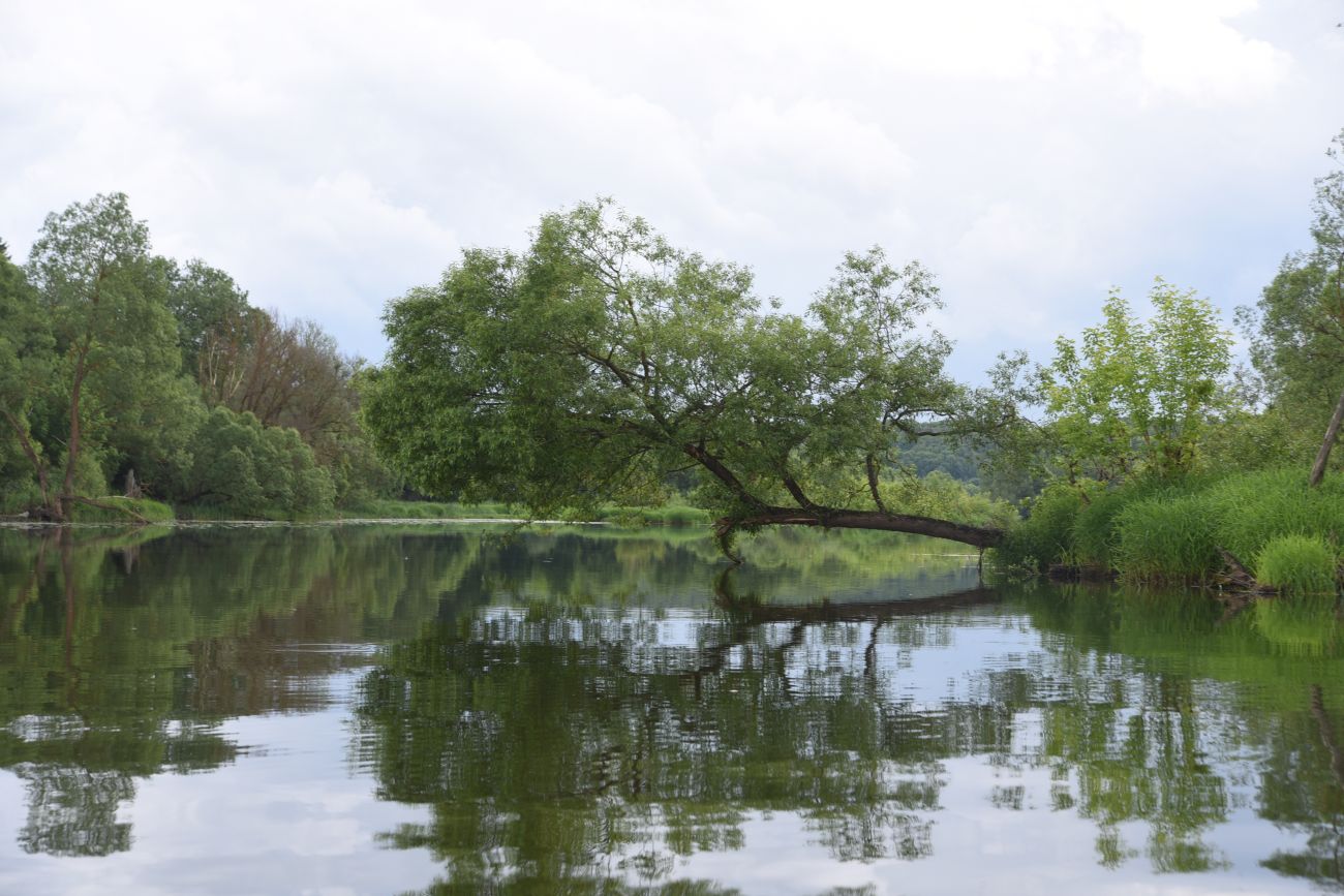 Село Роща, image of landscape/habitat.