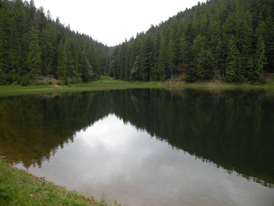 Окрестности оз. Синевир, image of landscape/habitat.