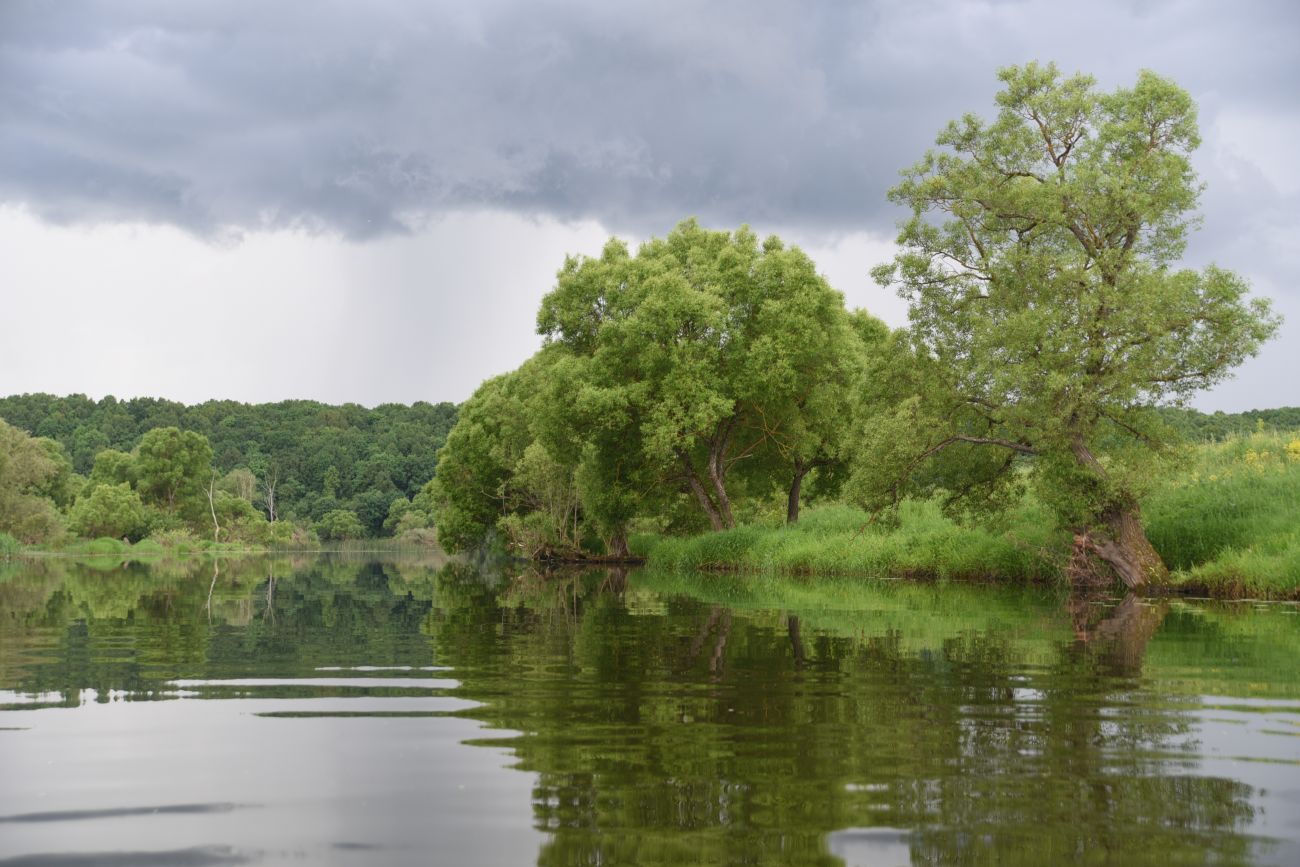 Село Роща, image of landscape/habitat.