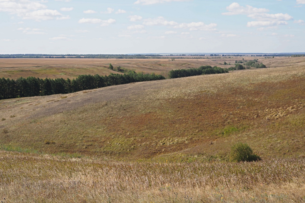 Междуречье Авралей, image of landscape/habitat.