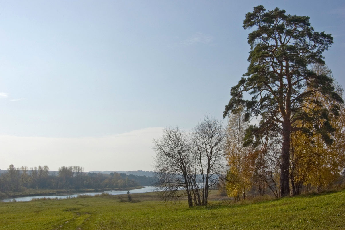 Окрестности деревни Агафонково, image of landscape/habitat.