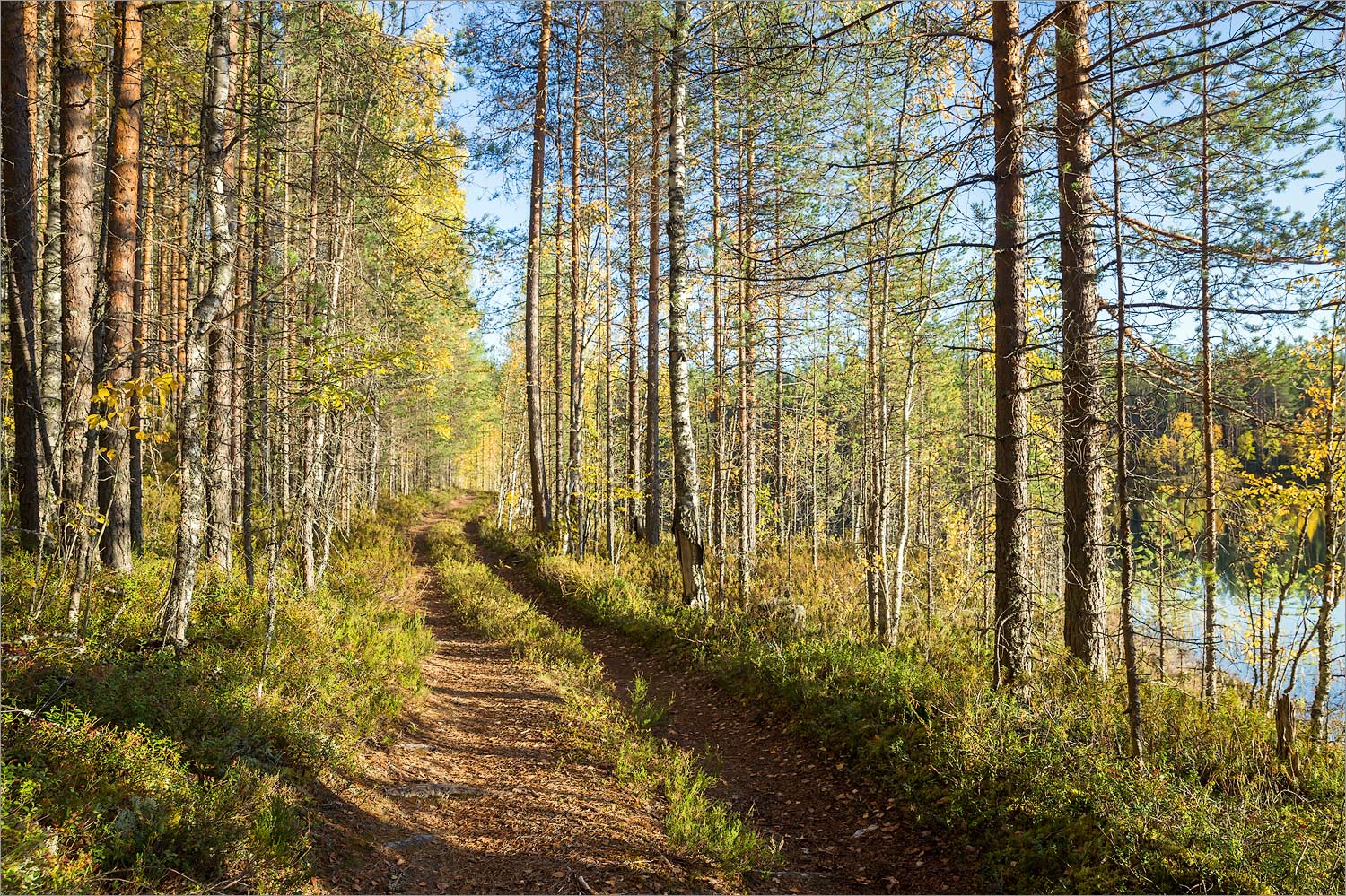 Сонго, image of landscape/habitat.