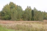 Окрестности хутора Плосково, image of landscape/habitat.