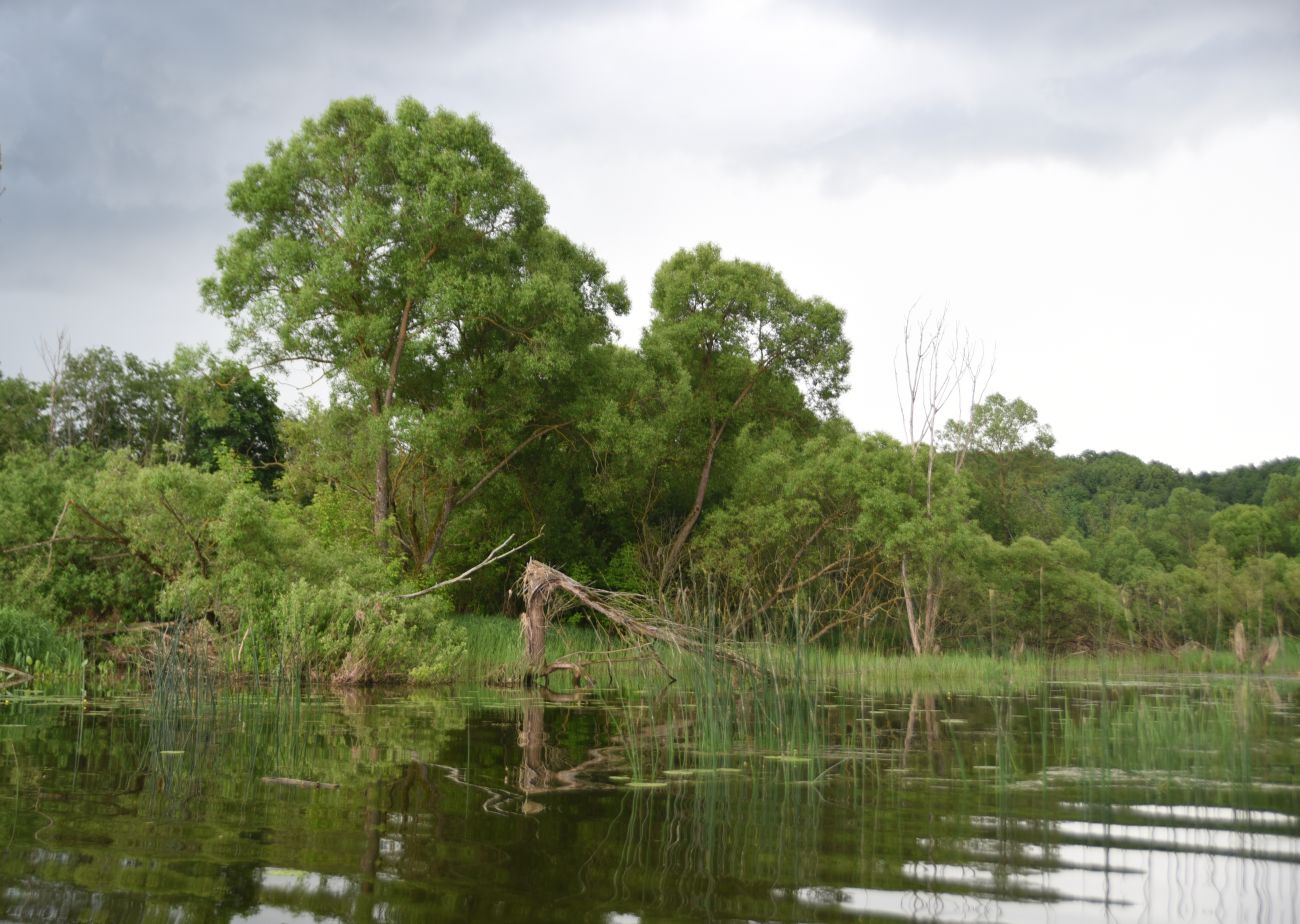 Село Роща, image of landscape/habitat.