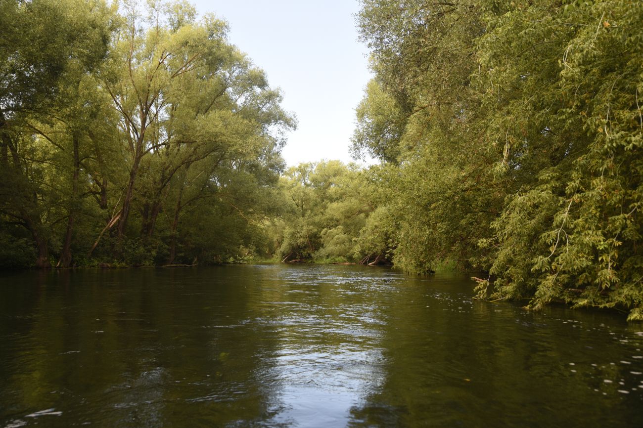 Верхняя Павловка, image of landscape/habitat.