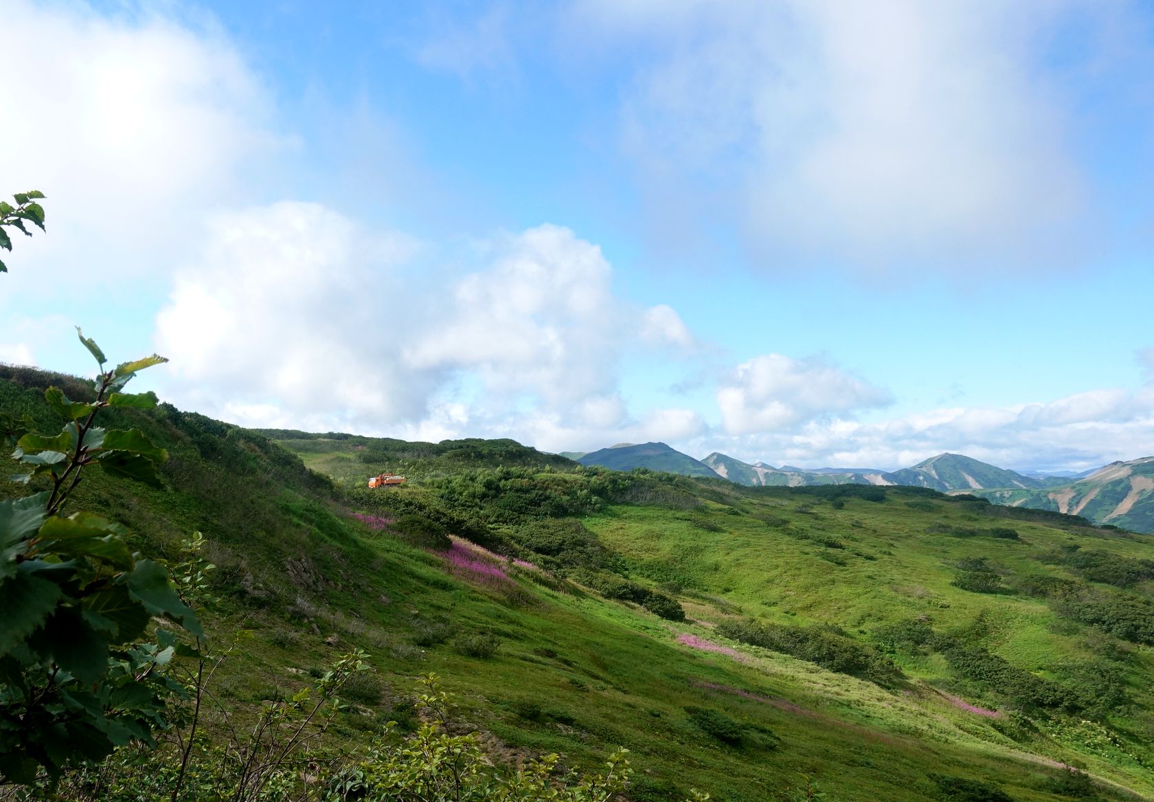 Вилючинский перевал, image of landscape/habitat.