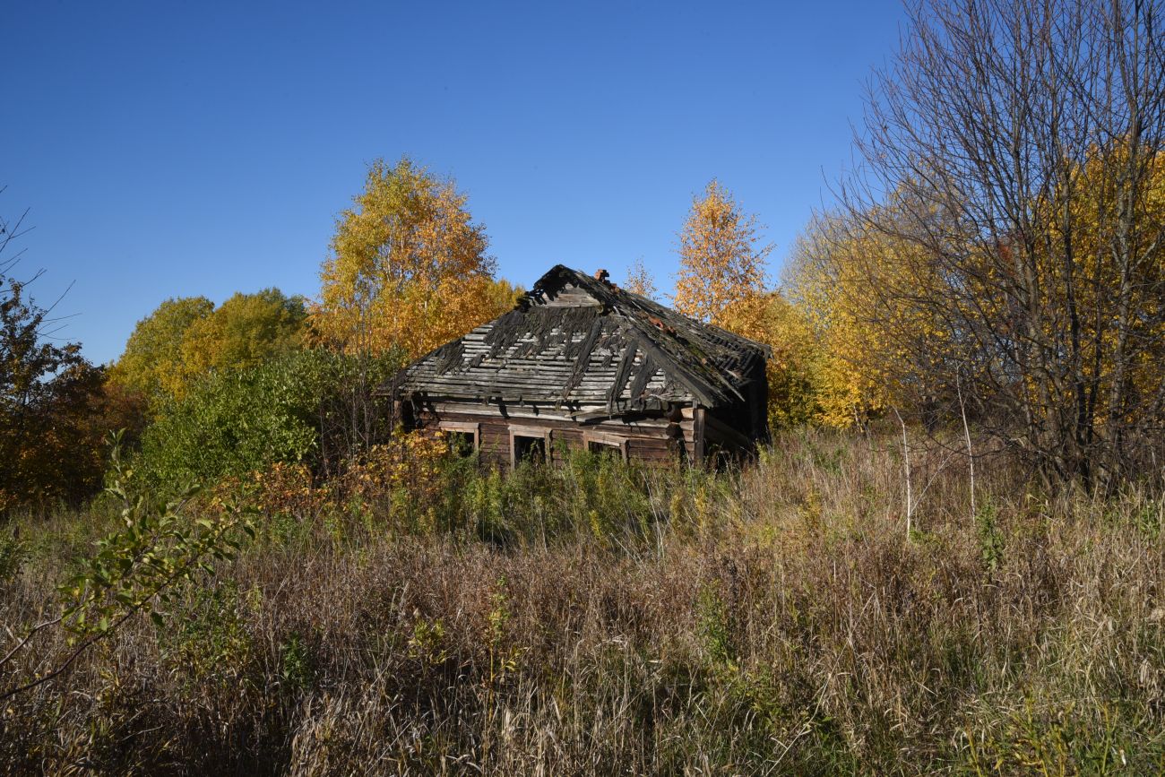 Урочище Сынково и окрестности, image of landscape/habitat.