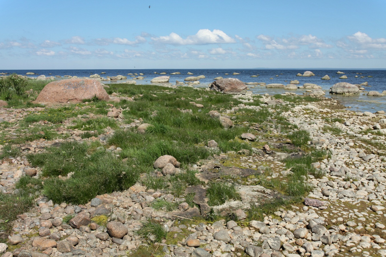 Каравалдай, image of landscape/habitat.