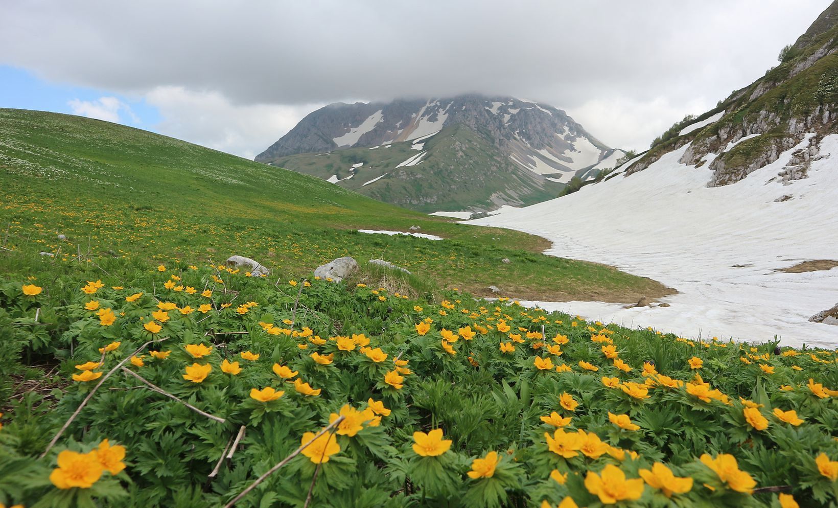 Озеро Псенодах, image of landscape/habitat.