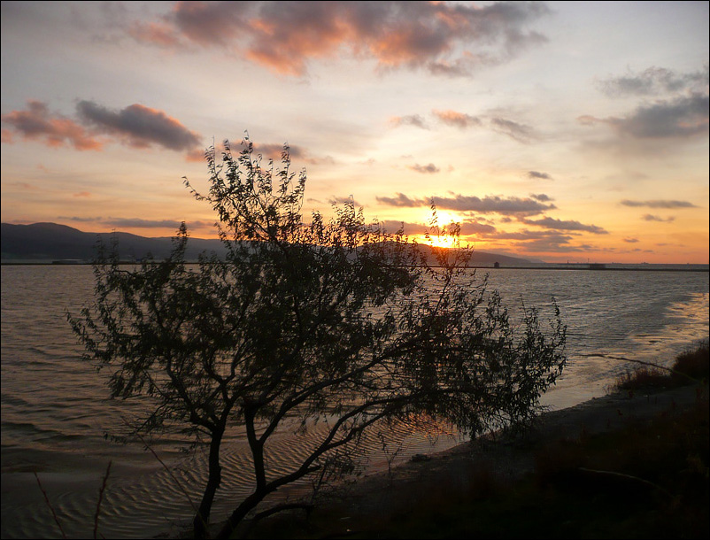 Окрестности Суджукской лагуны, image of landscape/habitat.