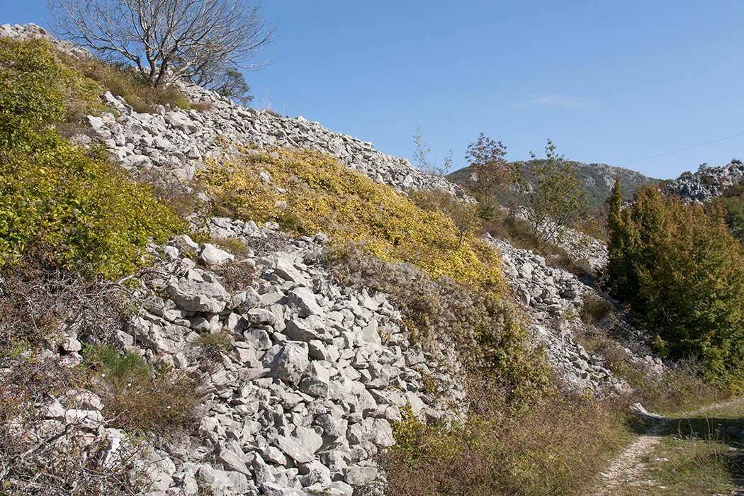 Путь к Космачу, image of landscape/habitat.