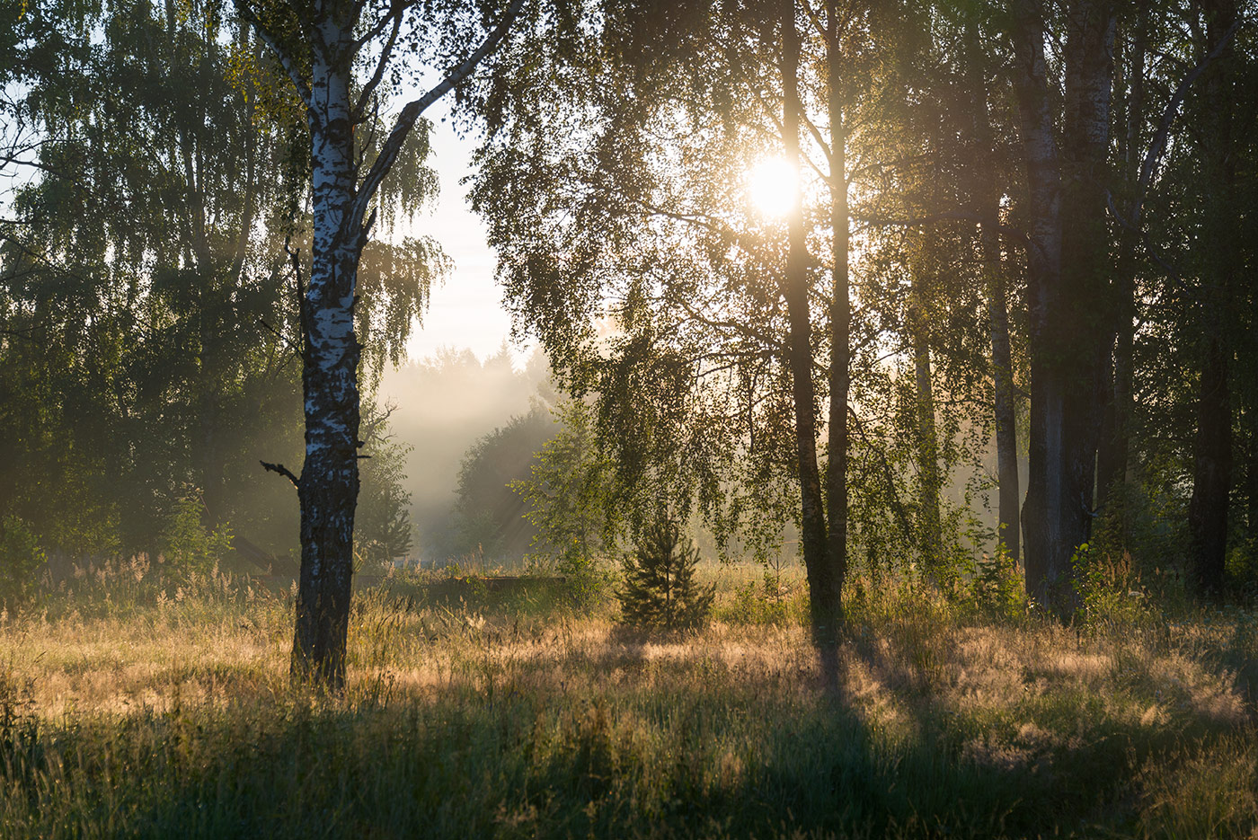 Большое Каринское Болото, image of landscape/habitat.