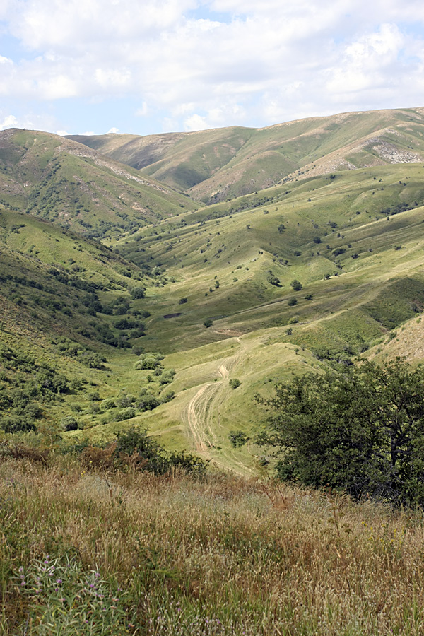 Ущелье Карасай, image of landscape/habitat.