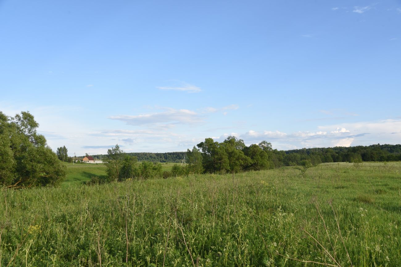 Деревня Николаевка и окрестности, image of landscape/habitat.