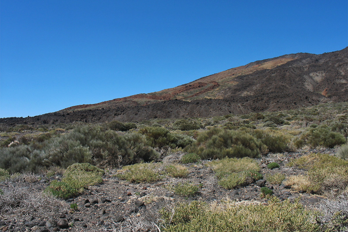 Национальный парк Тейде, image of landscape/habitat.