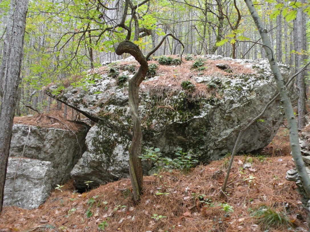 Урочище Таракташ, image of landscape/habitat.