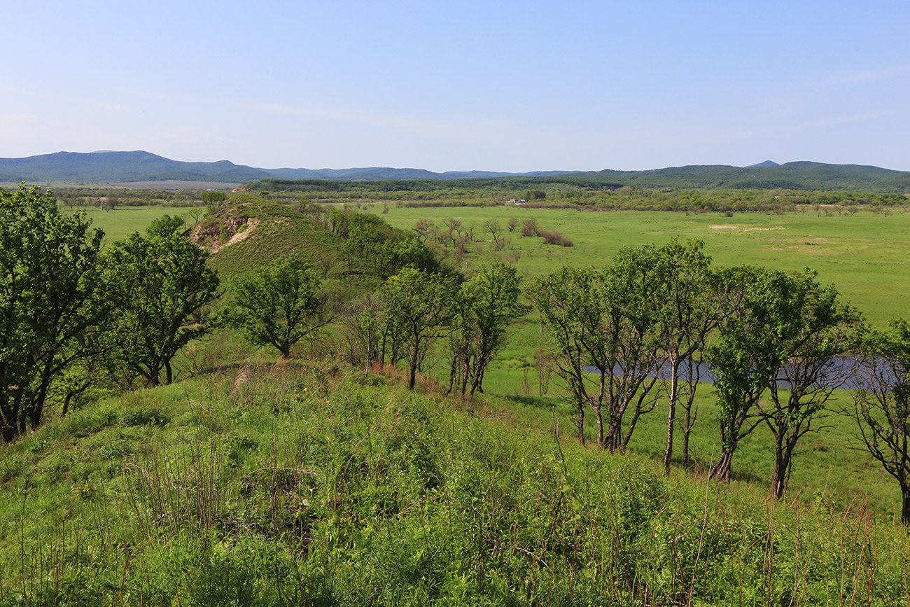 Комиссарово, image of landscape/habitat.