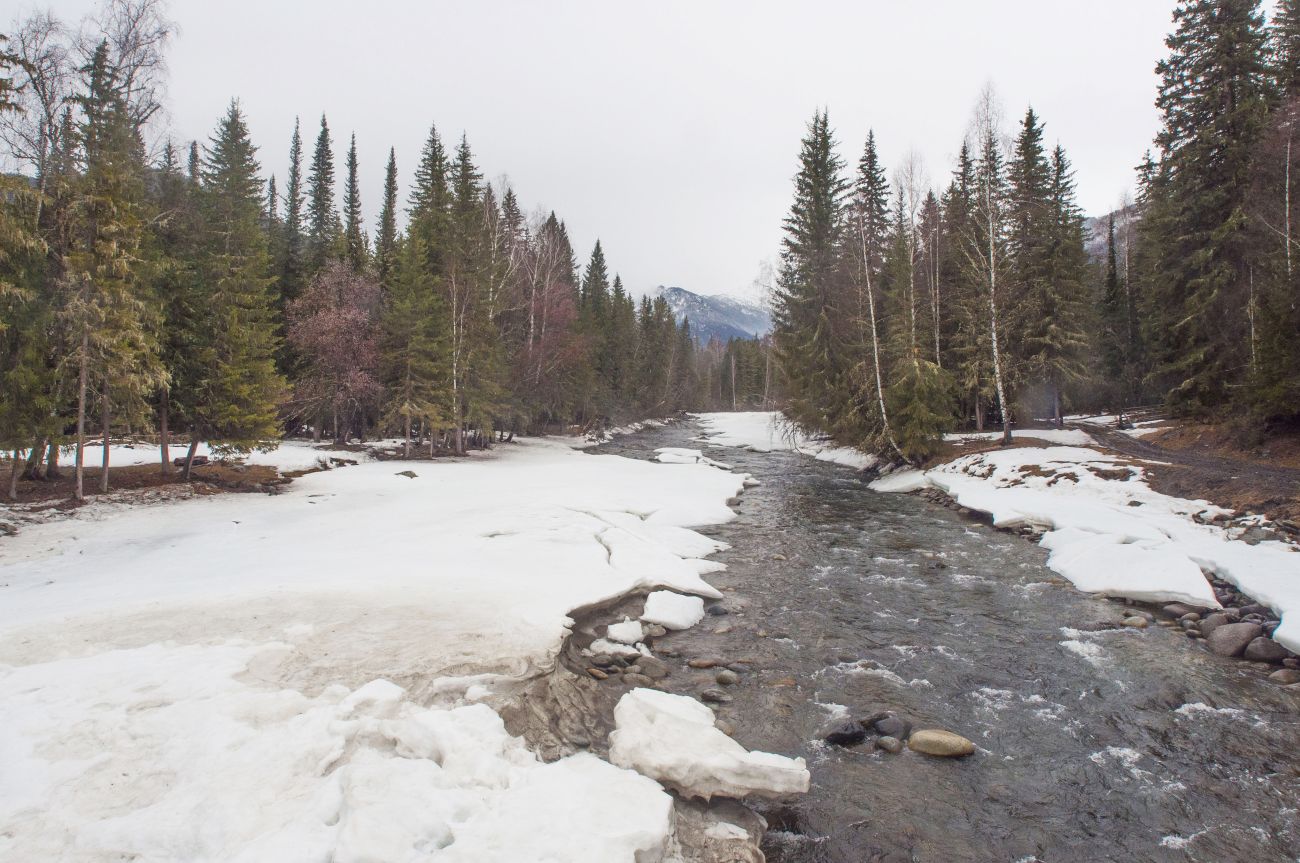 Окрестности села Кучерла, image of landscape/habitat.