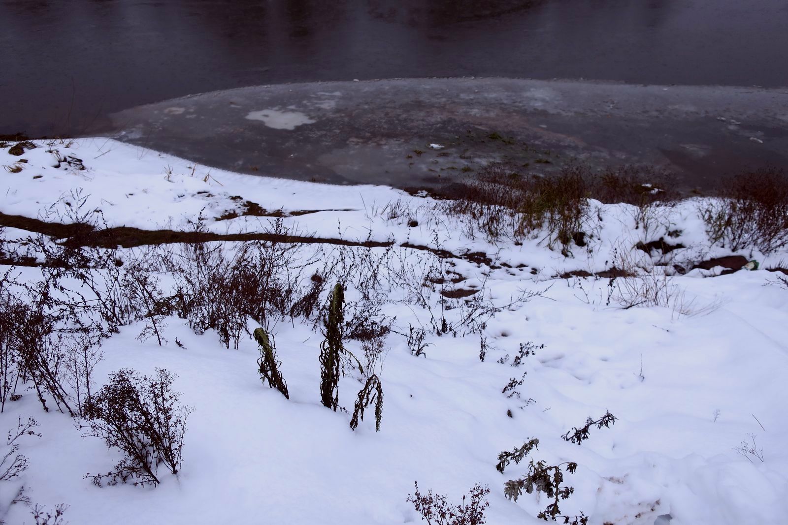 Гродно, image of landscape/habitat.