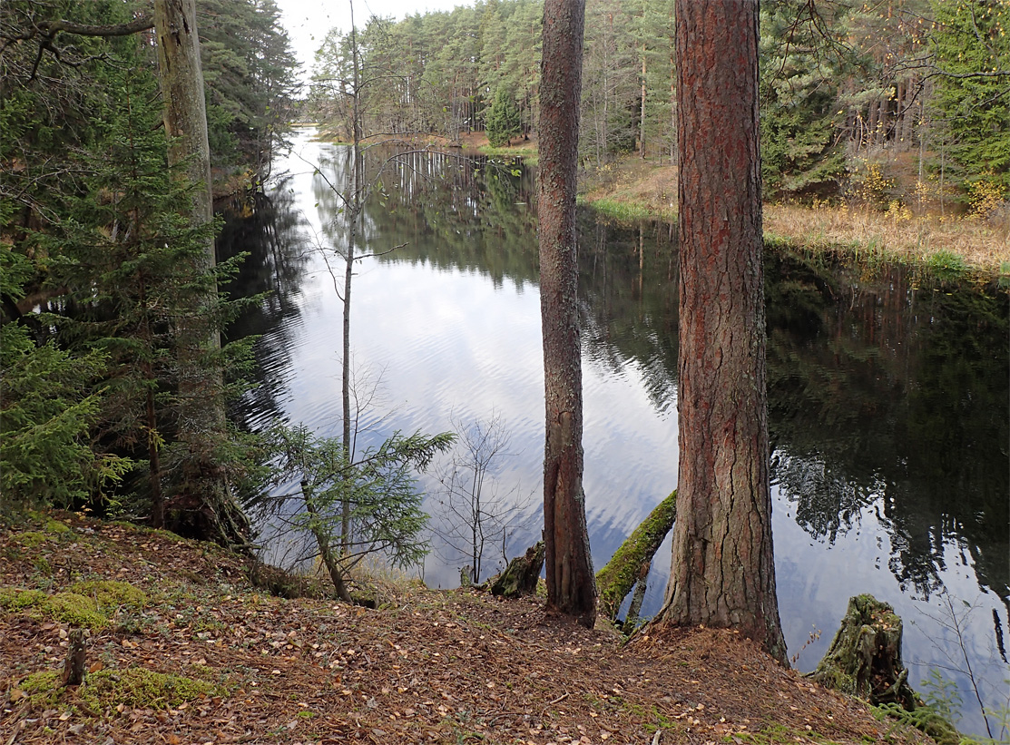 Бурцево, image of landscape/habitat.