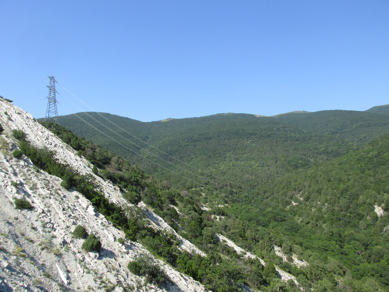 Отроги горы Совхозная, image of landscape/habitat.