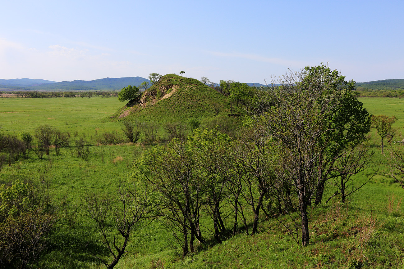 Комиссарово, image of landscape/habitat.