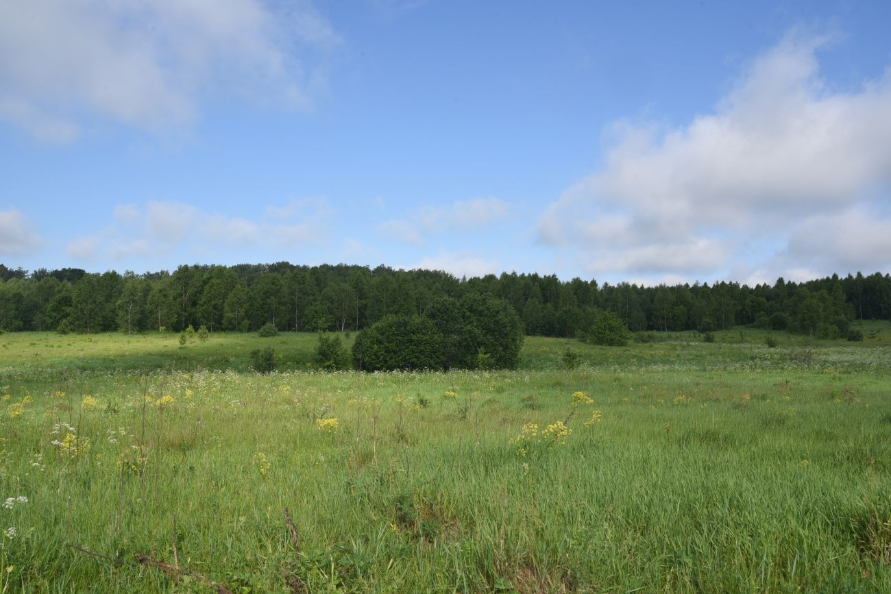 Деревня Николаевка и окрестности, image of landscape/habitat.