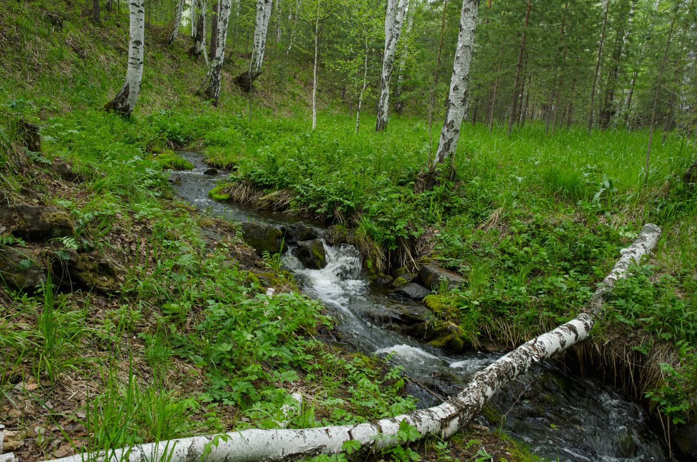 Яльчигулово и окрестности, image of landscape/habitat.