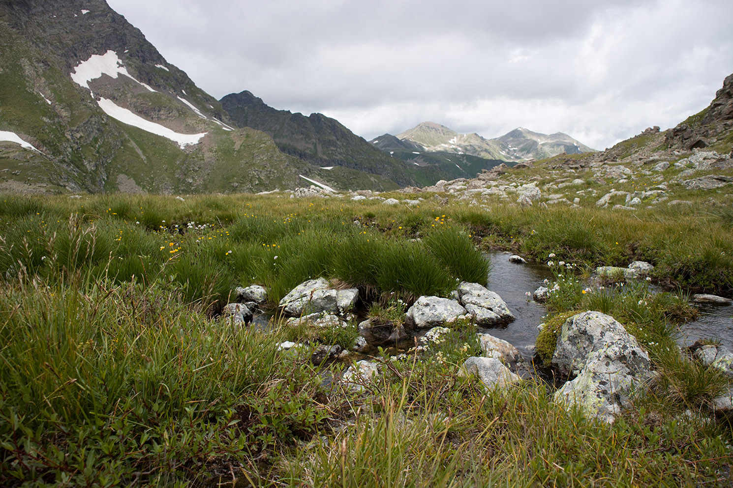 Озеро Географов, image of landscape/habitat.