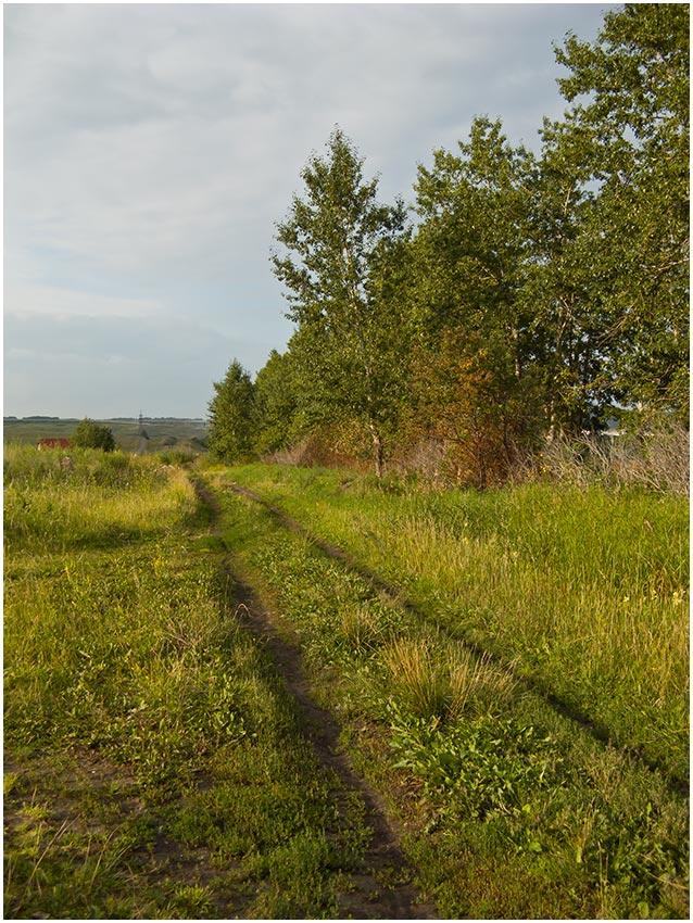 Красноярск и окрестности, image of landscape/habitat.