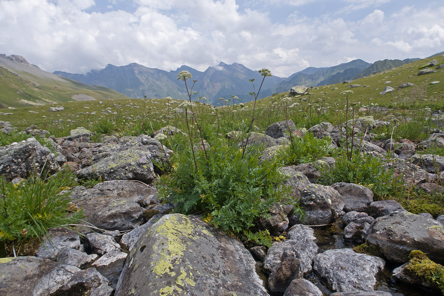 Ацгарские озёра, image of landscape/habitat.