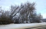 Лосино-Петровский и окрестности, image of landscape/habitat.