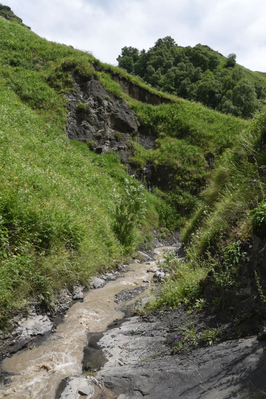 Верховья Цесиахк, image of landscape/habitat.