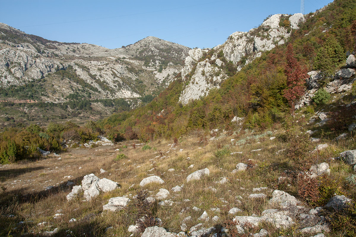 Путь к Космачу, image of landscape/habitat.