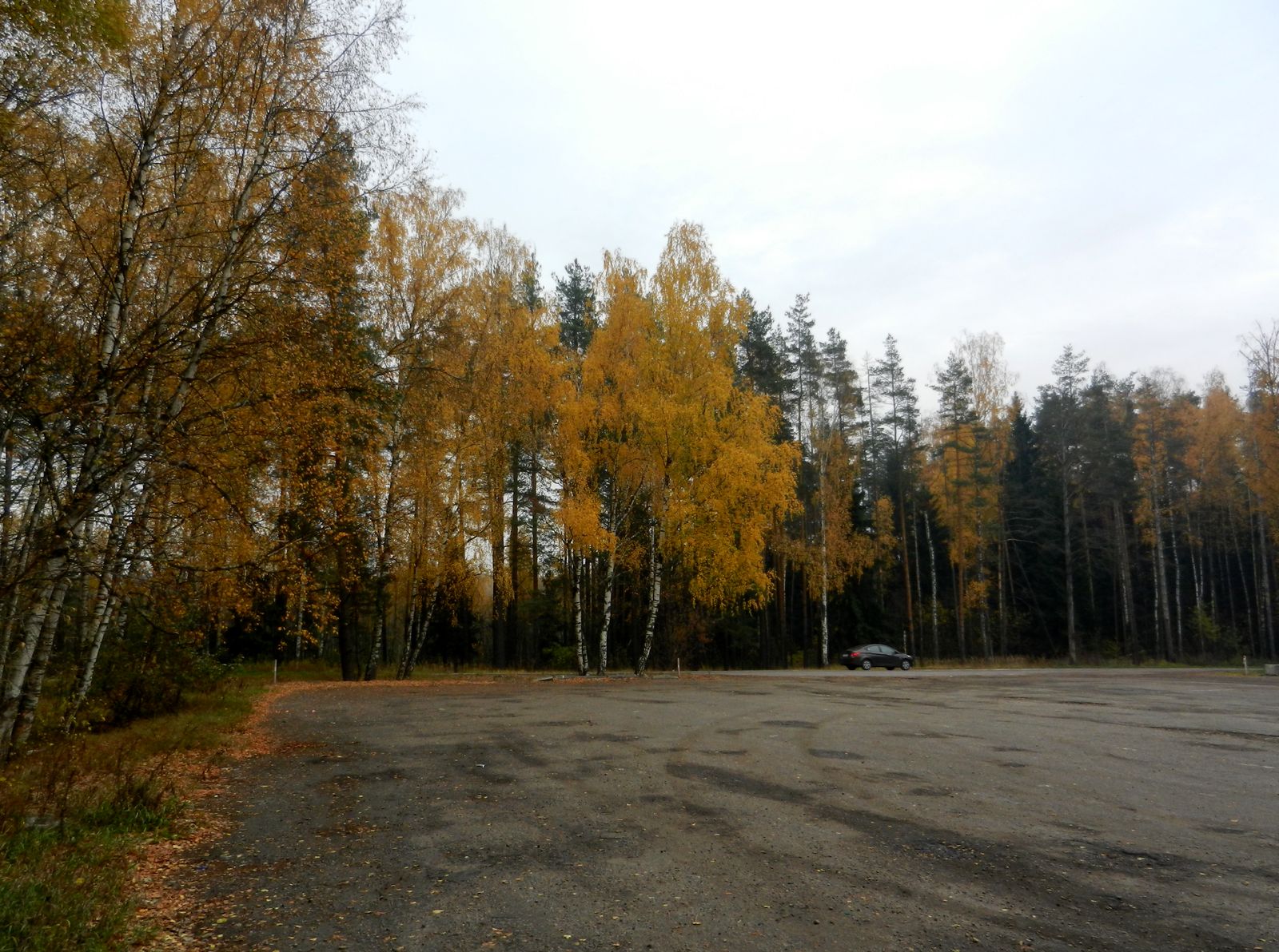 Озеро Луково, image of landscape/habitat.