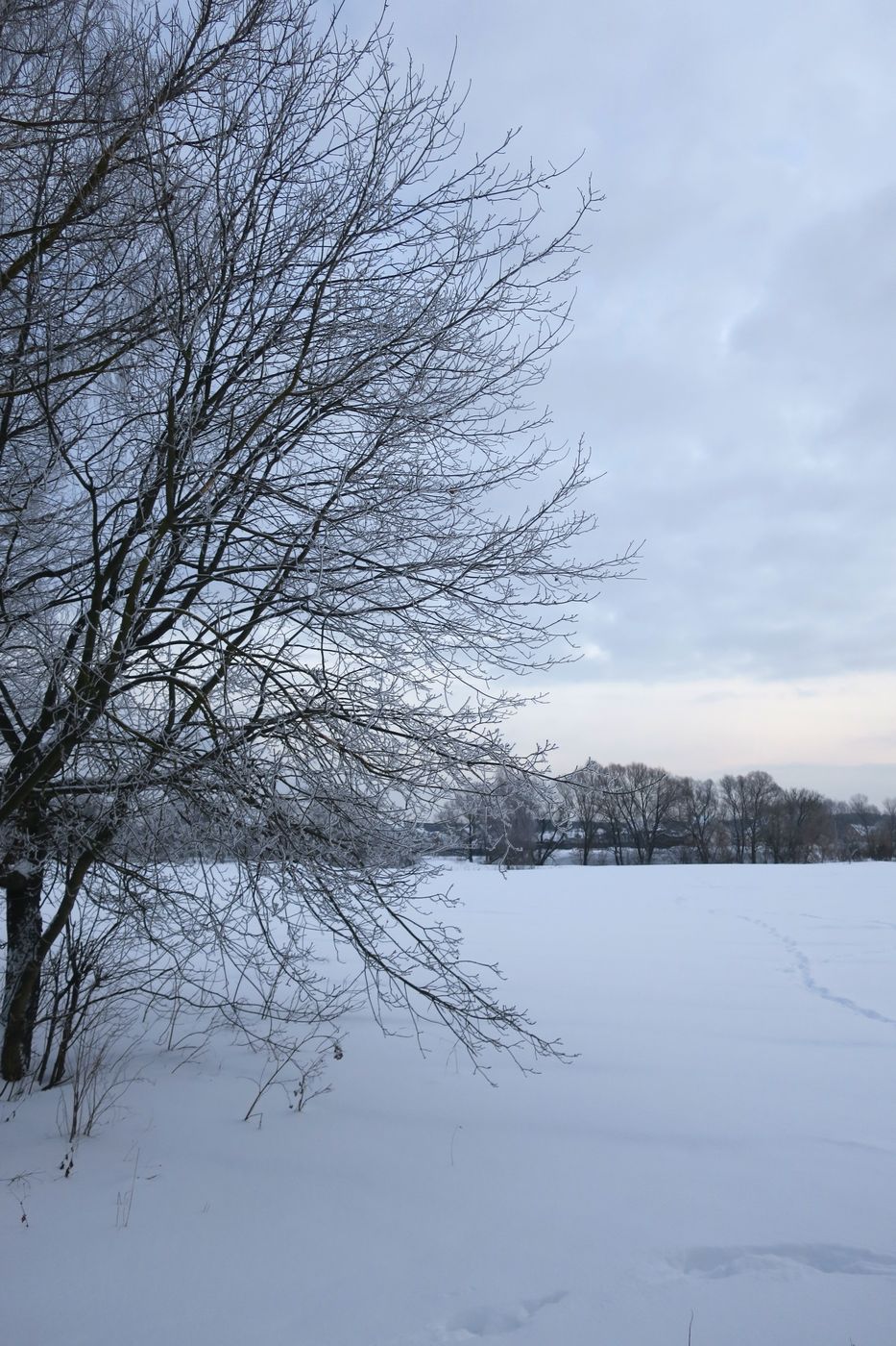 Лосино-Петровский и окрестности, image of landscape/habitat.