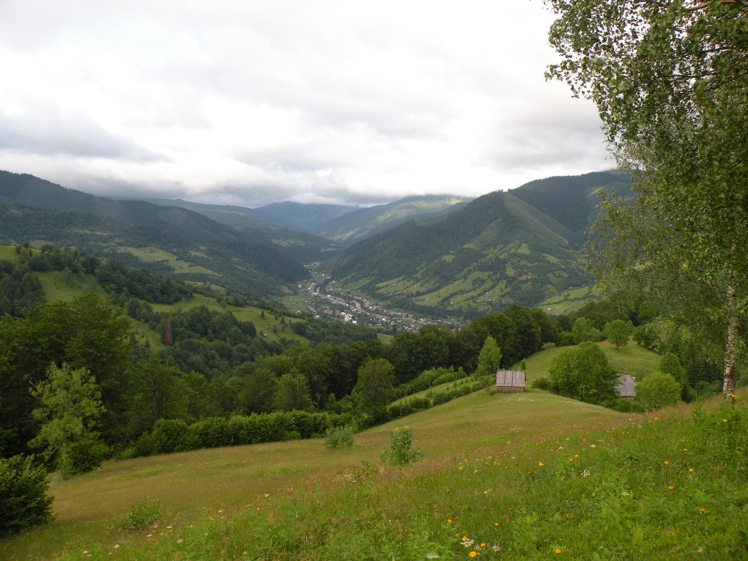 Окрестности с. Усть-Черная, image of landscape/habitat.