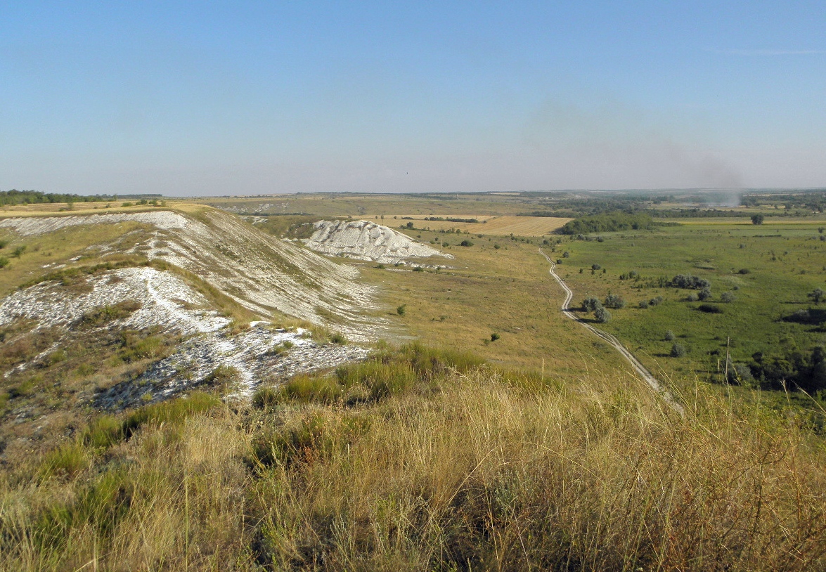 Село Стрельцовка, image of landscape/habitat.