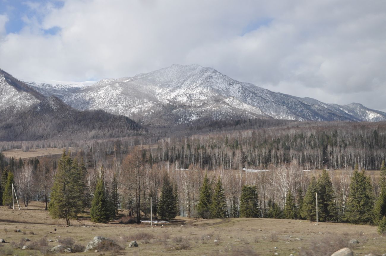 Окрестности села Тюнгур, image of landscape/habitat.