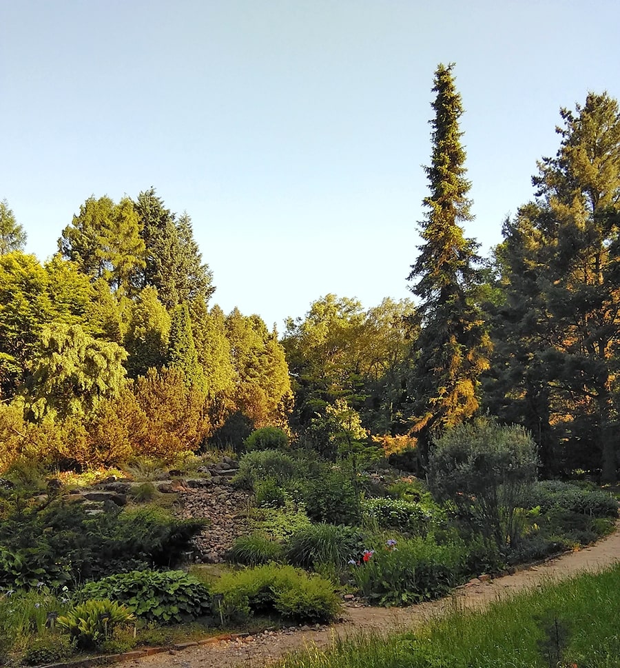 Арборетум в Рогове, image of landscape/habitat.