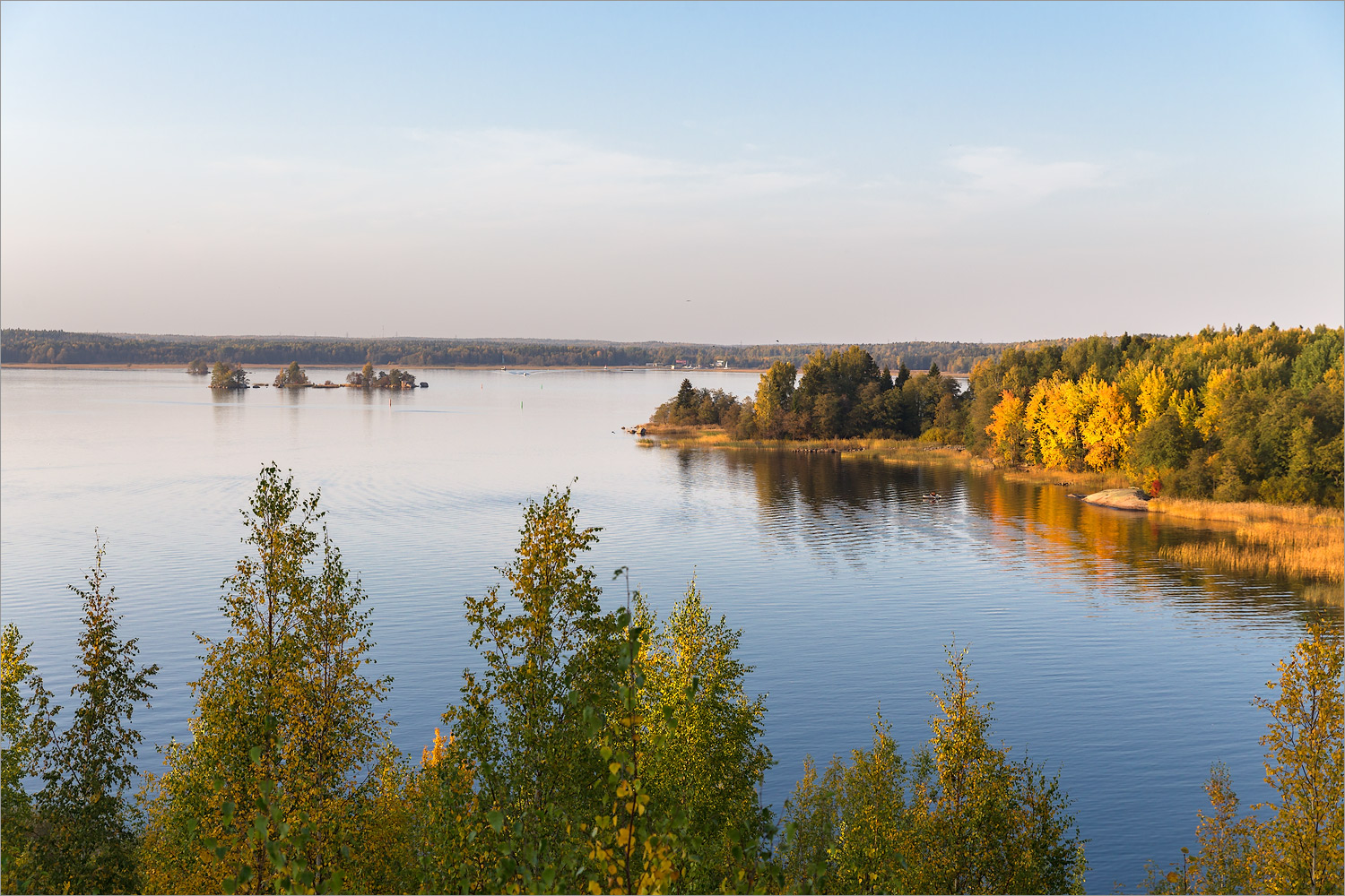 Парк Монрепо, image of landscape/habitat.