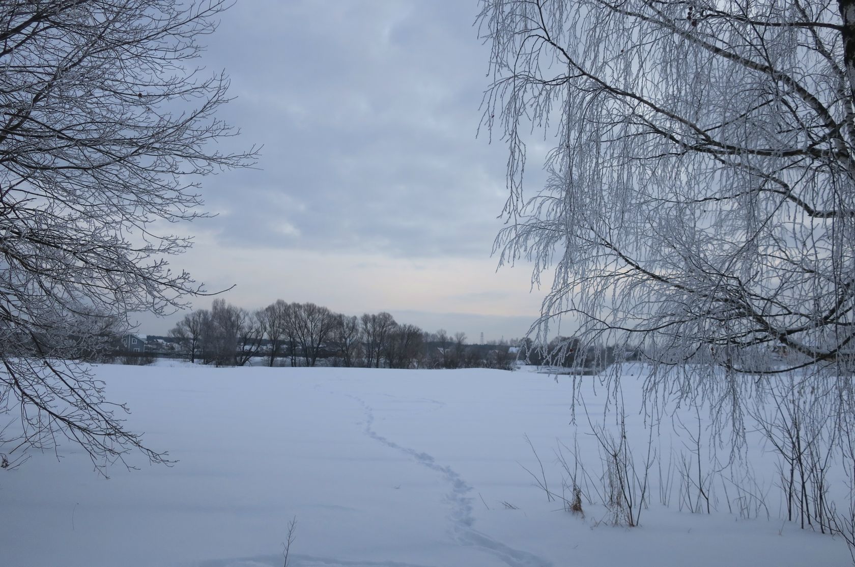 Лосино-Петровский и окрестности, image of landscape/habitat.