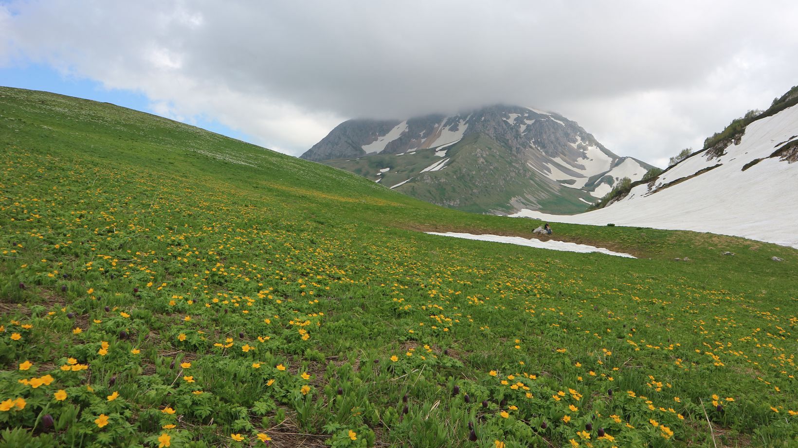 Озеро Псенодах, image of landscape/habitat.