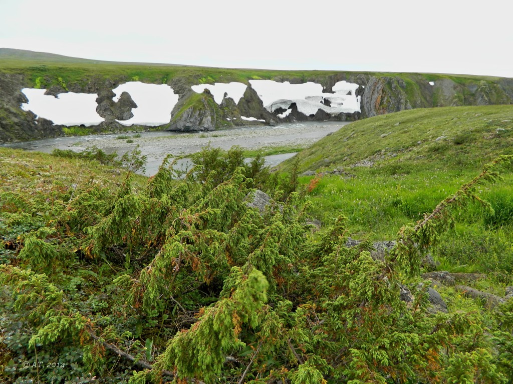 Большая Хойлаю, image of landscape/habitat.