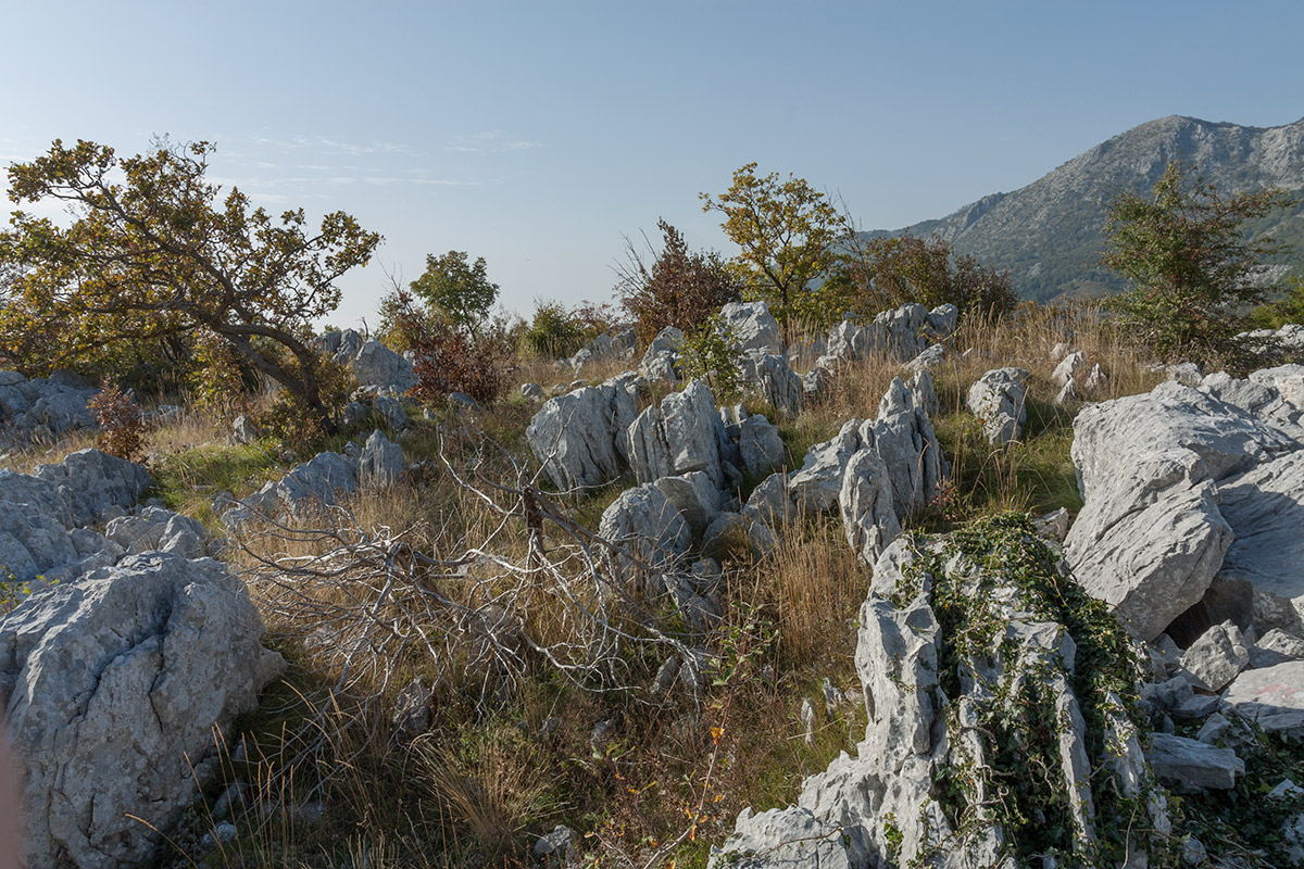 Путь к Космачу, image of landscape/habitat.