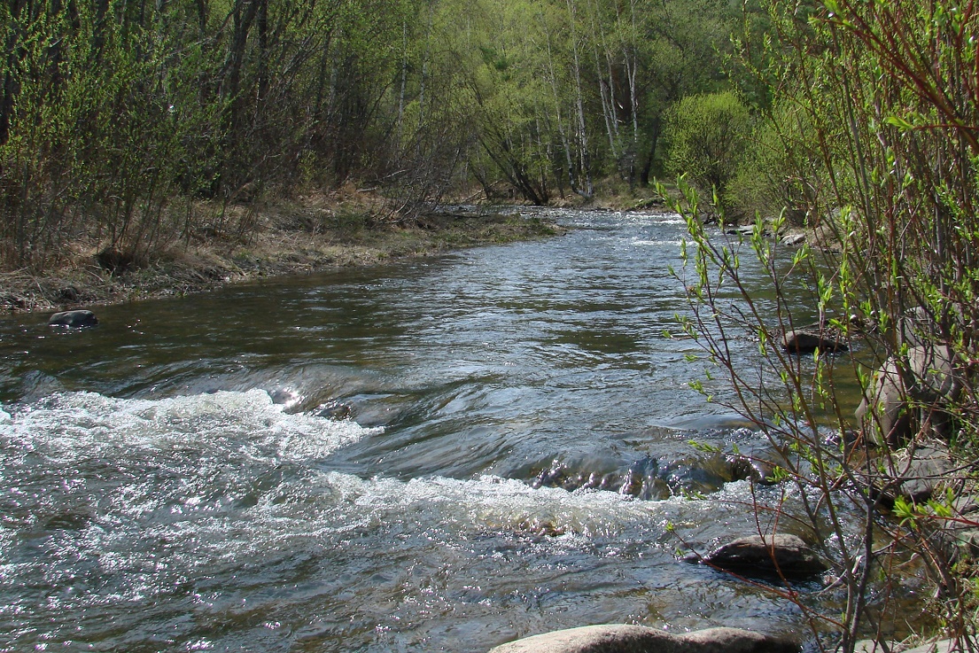 Река Куйтун, image of landscape/habitat.