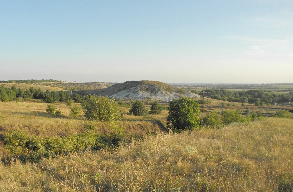 Село Стрельцовка, image of landscape/habitat.